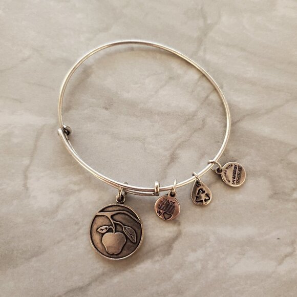 🍎 Alex and Ani Silver Apple Expandable Bangle Charm Bracelet Teacher 🍎 - Picture 1 of 4
